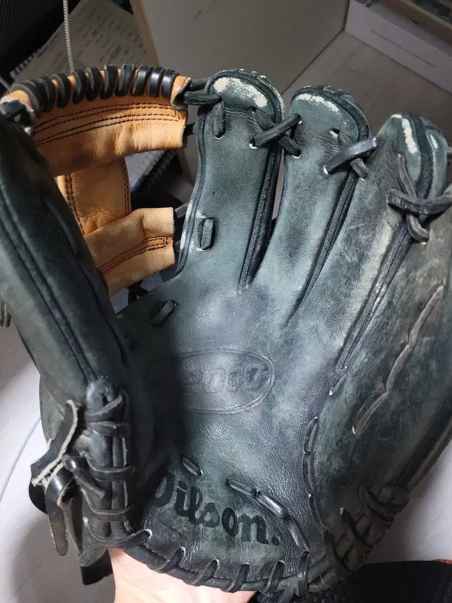 ウィルソン Wilson