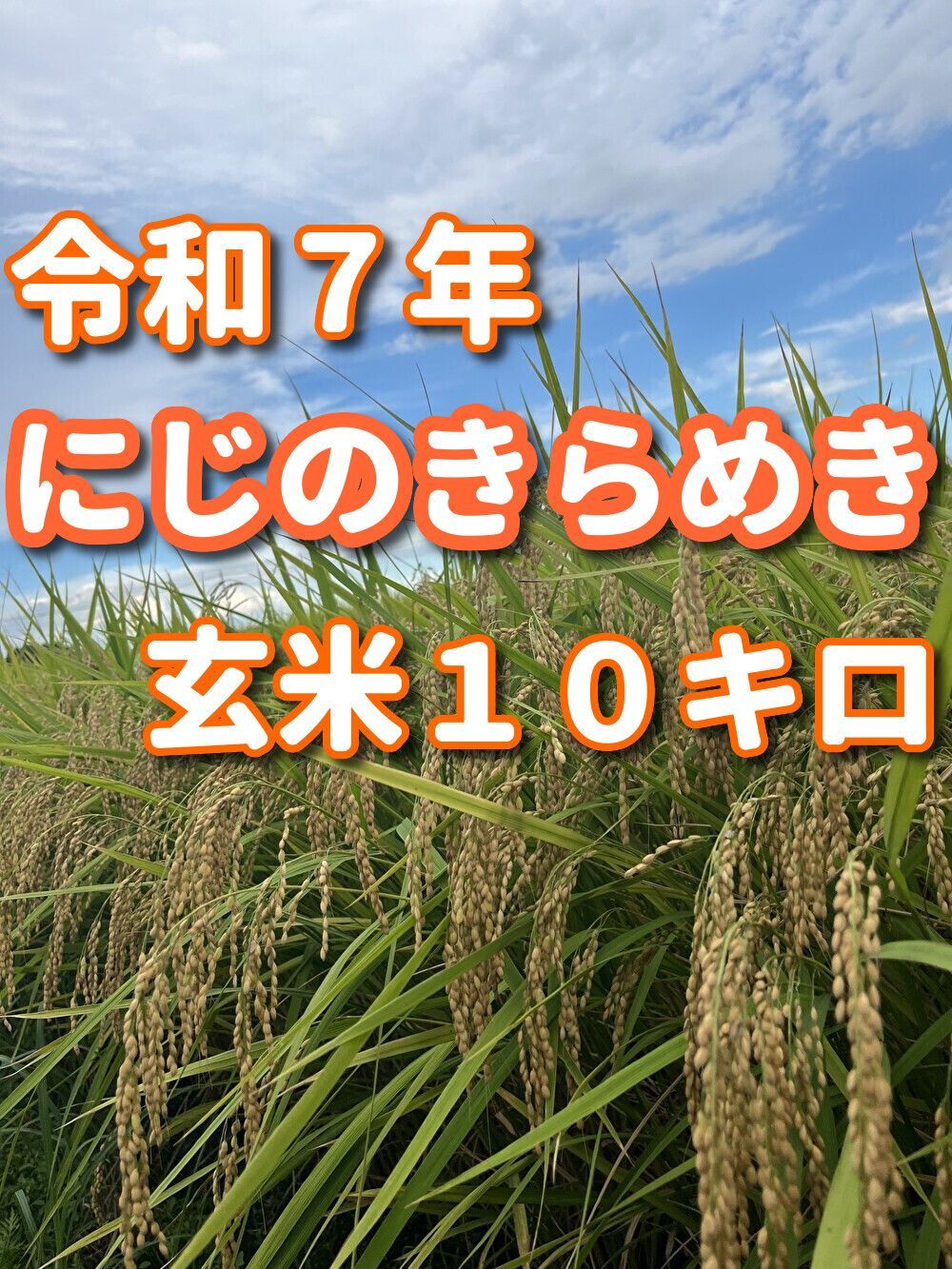 令和6年産 にじのきらめき 茨城県 30キロ お米30キロ 令和6年産 にじのきらめき 茨城県 30キロ お米30キロ