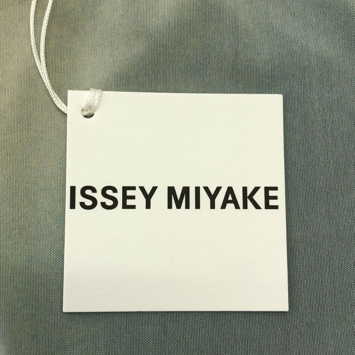 美品】 ISSEY MIYAKE / イッセイミヤケ | 2024SS | LIGHT LEAK