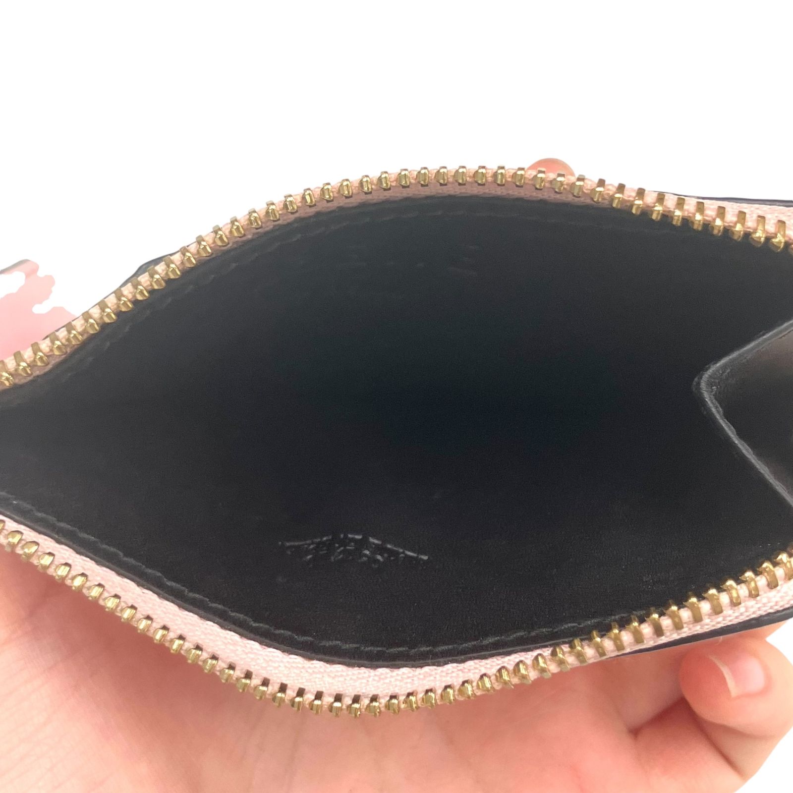 真贋判定済】 LOEWE ロエベ アナグラム カードホルダー&コイン 真贋判定済】 LOEWE ロエベ アナグラム カードホルダー&コイン