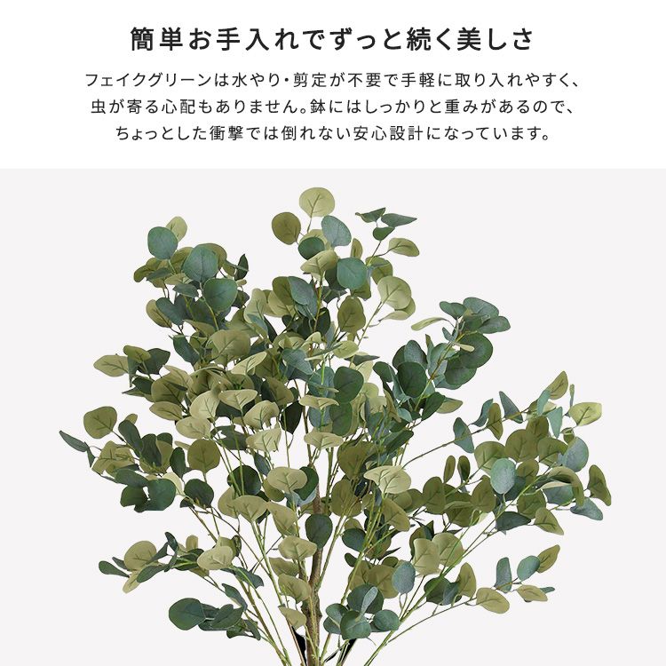Mサイズ