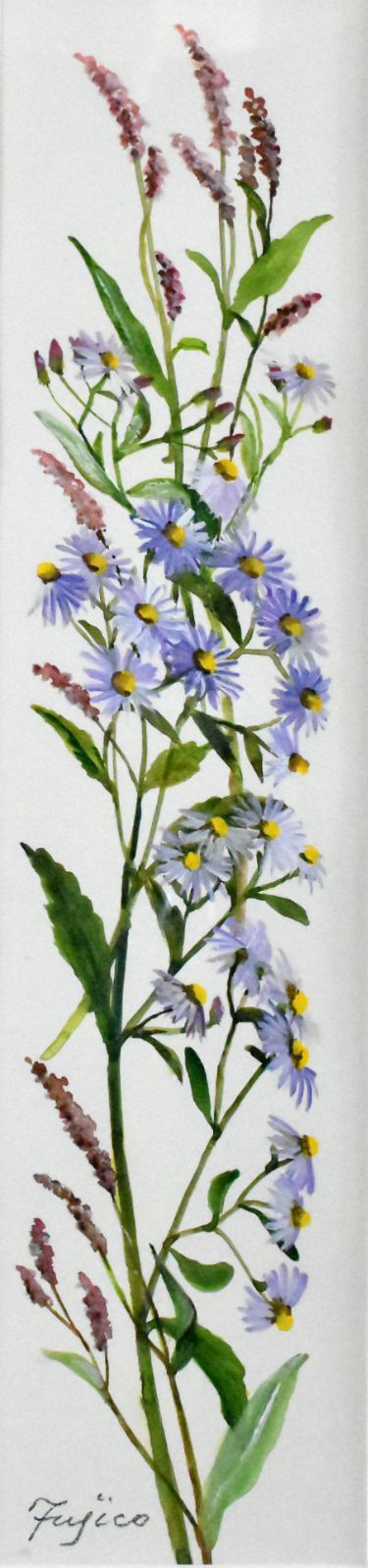 原画 橋本不二子 野菊 水彩 変８号 清楚で可憐 清々しい画風 一点もの 草花の人気画家