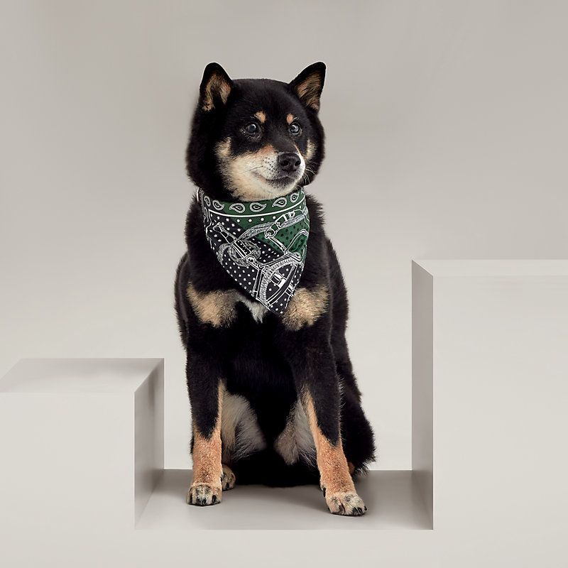 エルメス HERMES 犬用バンダナ エプロン・ドール M H800752E 02