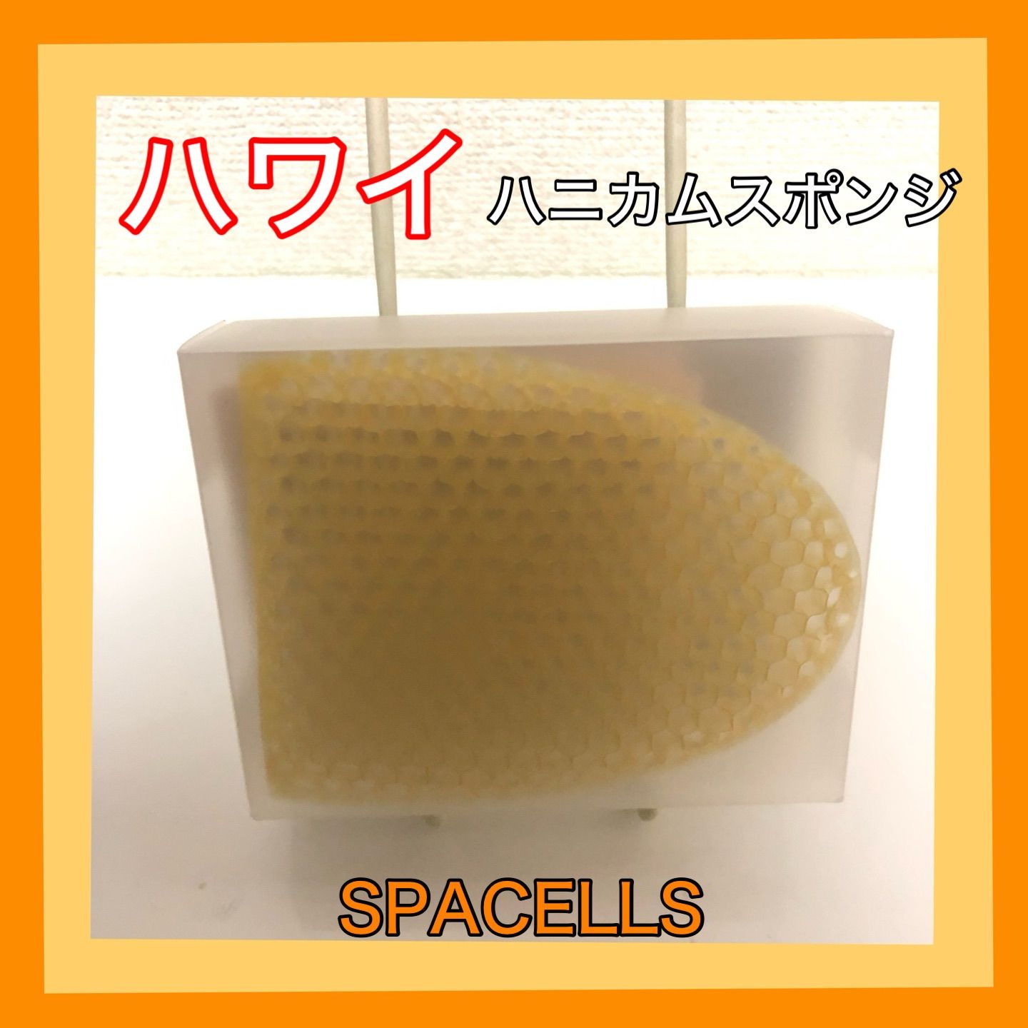 中古】 トスカーナ・都市紀行 イタリアルネッサンスの舞台 (旅