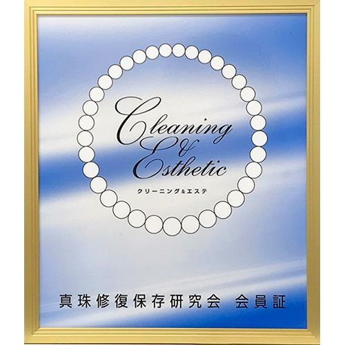 パール ピアス 真珠 チャーム ドロップ K18YG イエローゴールド フックピアス チェーン スイング ジュエリー