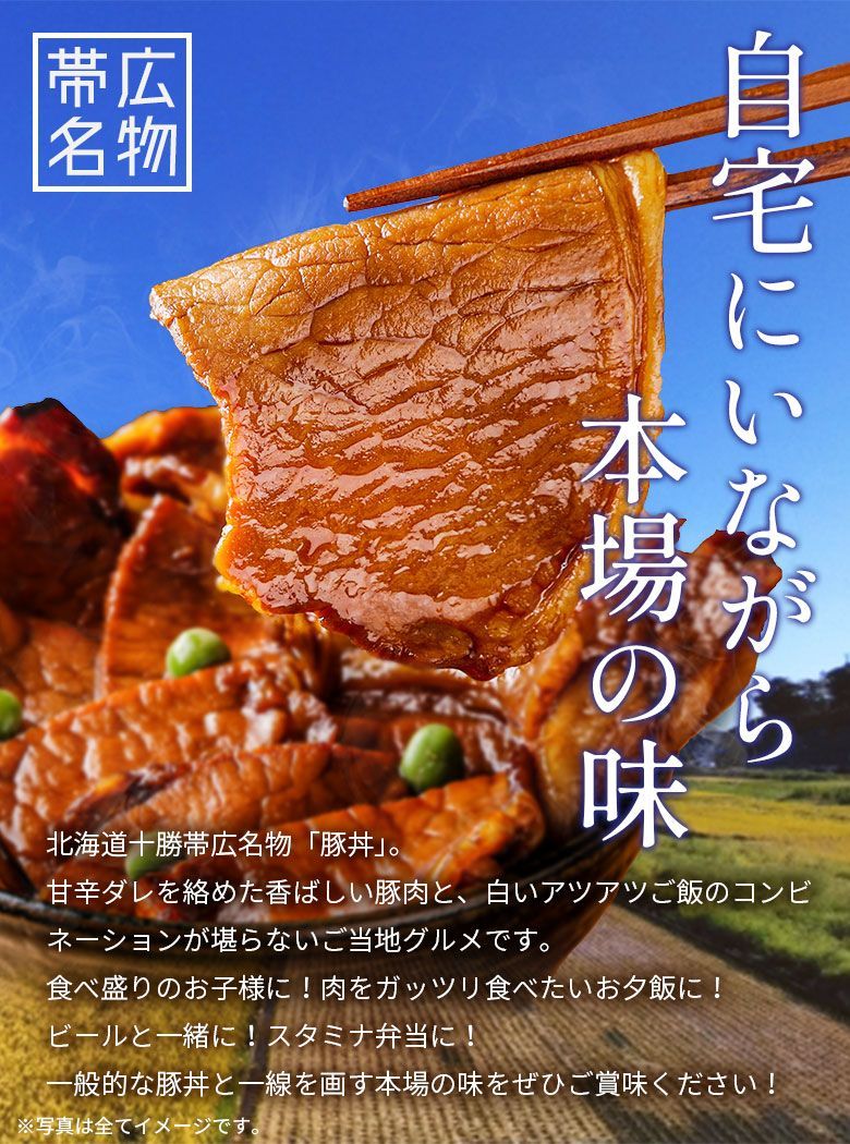 北海道帯広名物 本ロース.豚丼の具15食セット.