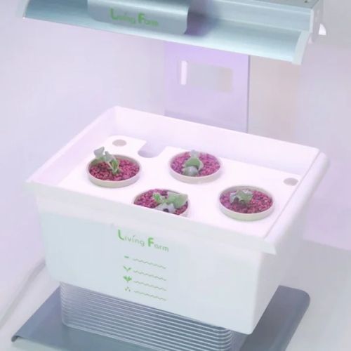 4株育成 栽培キット