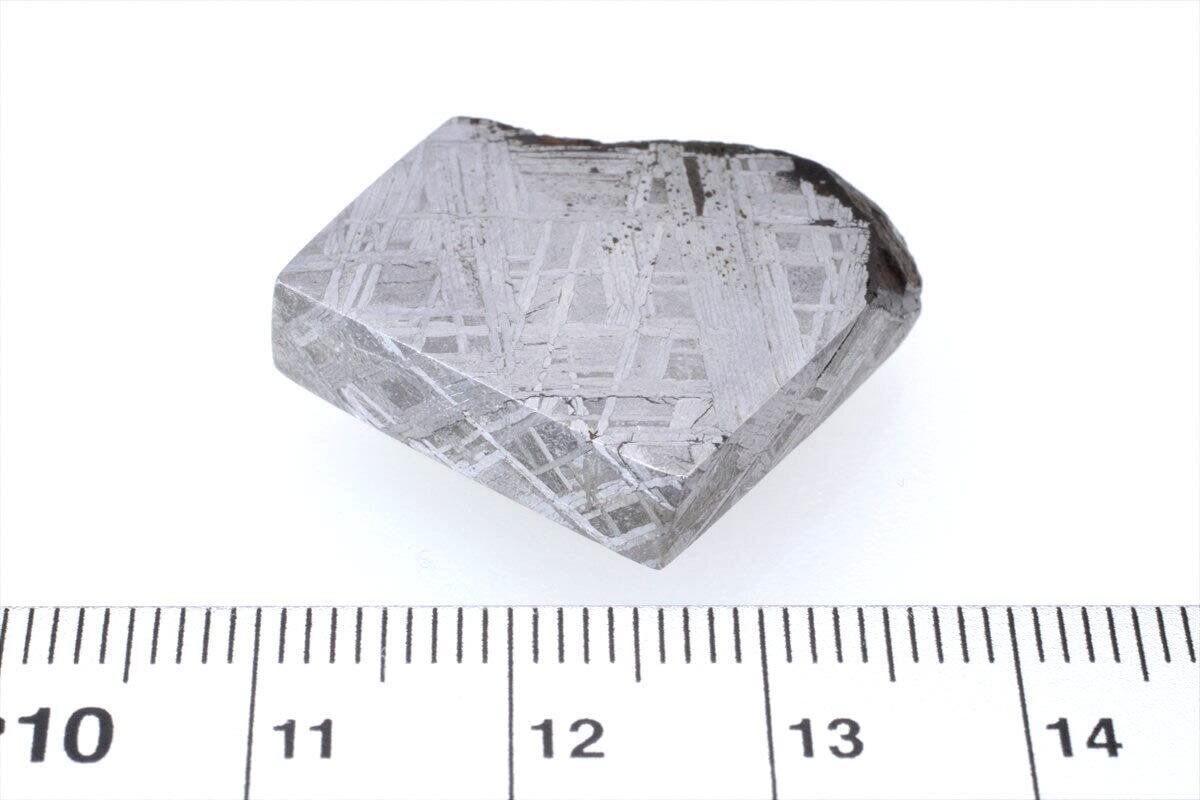 ムオニナルスタ ムオニオナルスタ 18g スライス カット 標本 隕石 