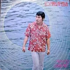 夏の歌 - 20 外側はビニール パーシャルバースト