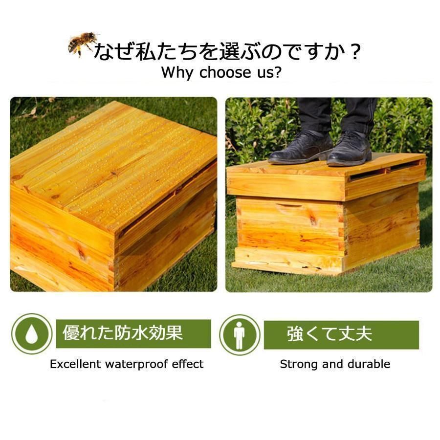 巣箱 養蜂箱養蜂器具蜂蜜蜂の巣箱 ミツバチ セット蜜蜂巣箱7/ 10