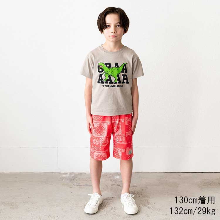 ★新品★crescent(クレセント)』恐竜プリント半袖Tシャツ　120cm　Tシャツ　グレー　半袖　恐竜　男の子　男児　子供　子供服