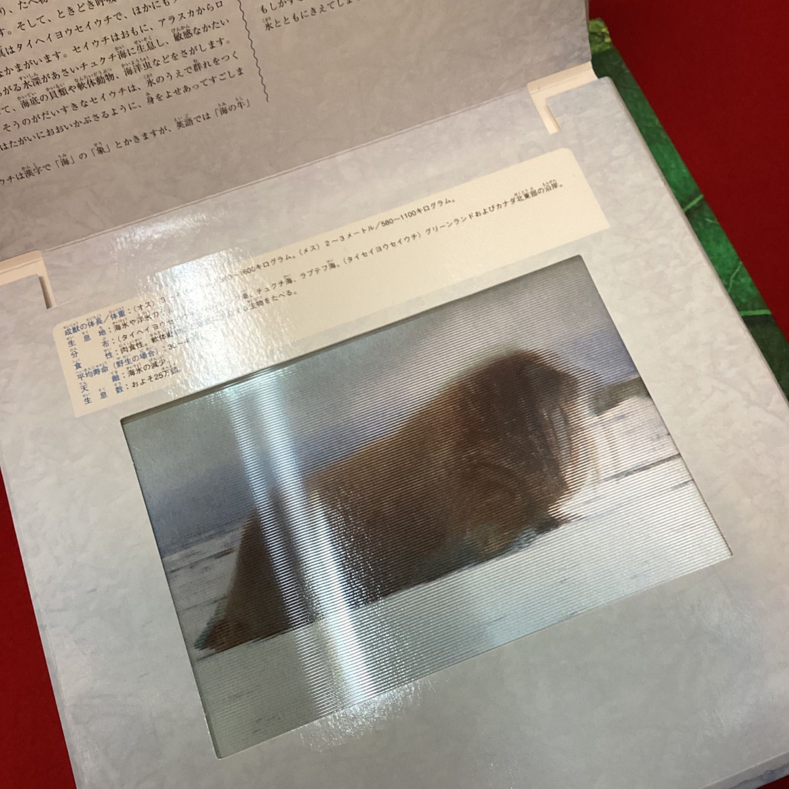 写真が動くしかけ絵本4冊セット ポーラー ダイナソー ジャングル