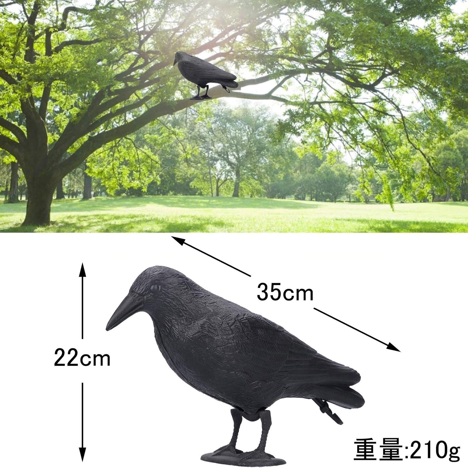 数量 akindou カラスよけ スズメ 鳩 よけ 鳥避けグッズ 害鳥対策 STEELWINDOWSANDDOORS_COM