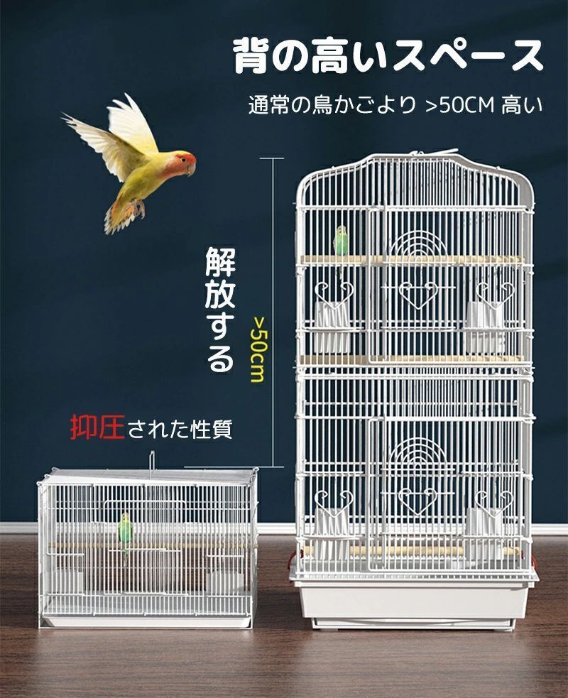 オウム 文鳥