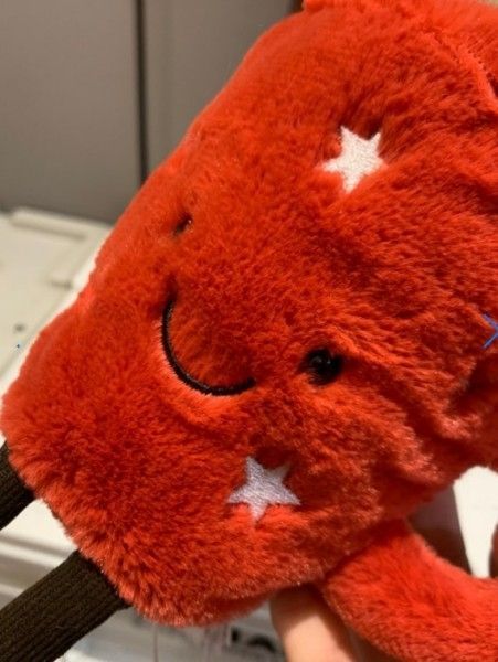 ジェリーキャット Amuseable Hot Chocolate新品・タグ付き