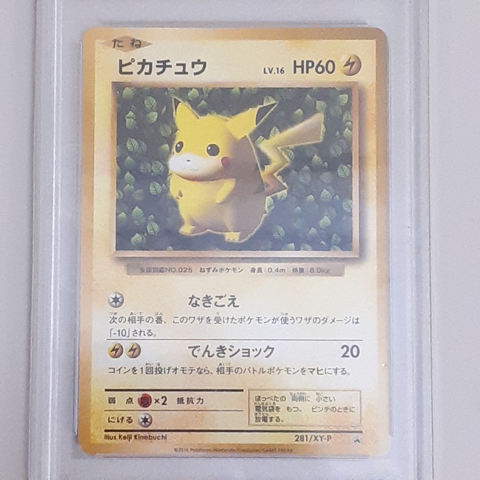 ピカチュウ　プロモ　PSA10 2019 ポケモンカード ピカチュウ プロモ PSA10 2019 ポケモンカード PSA10】 ピカチュウ