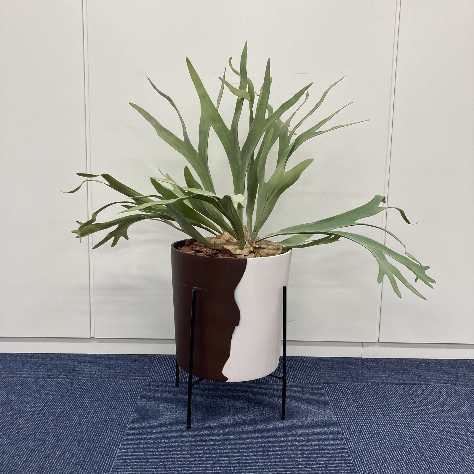 中古 A(中古品)】フェイクグリーン / 幅400mm 高さ900mm - メルカリ 