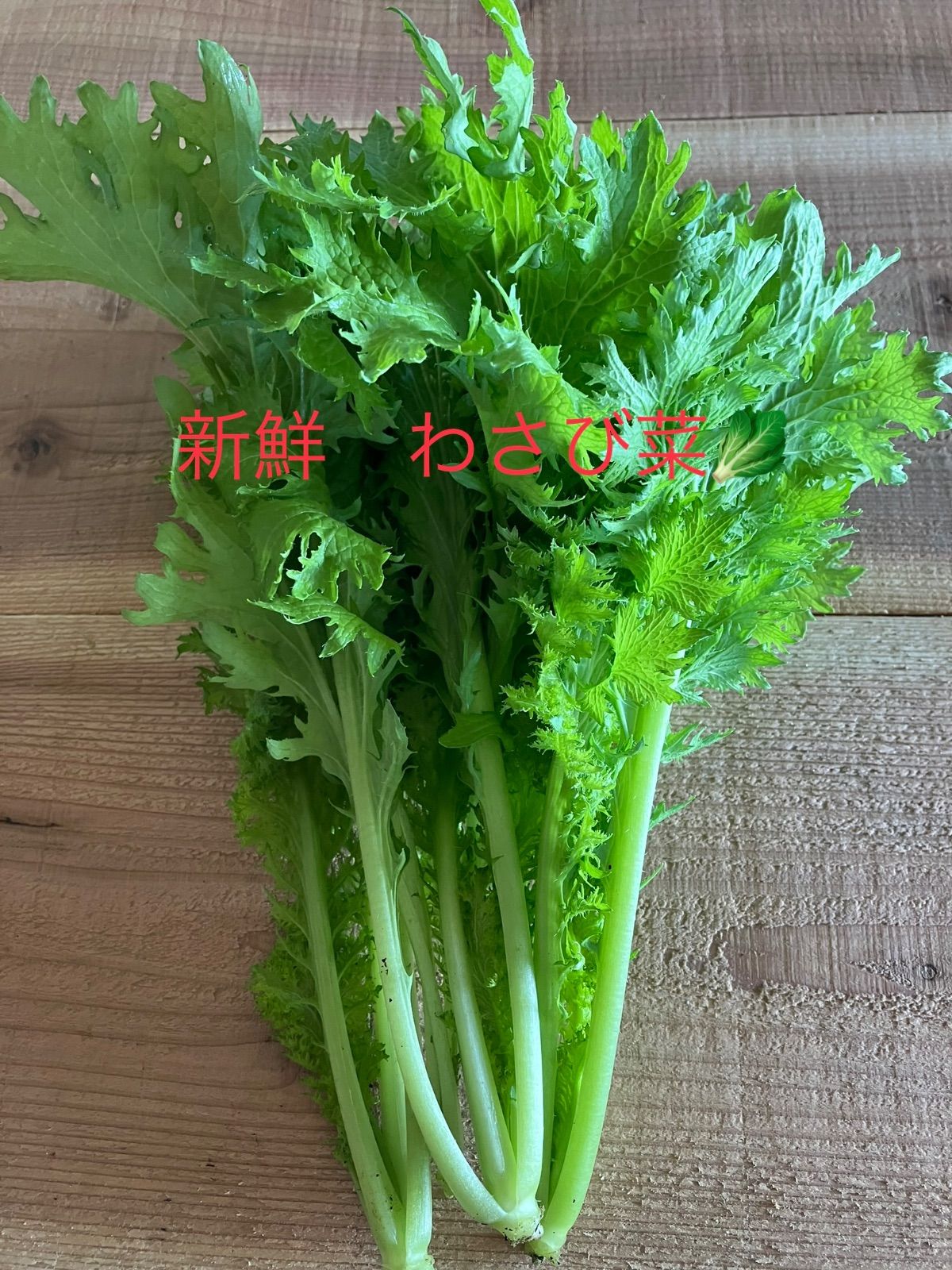 新鮮わさび菜❗️ - メルカリ