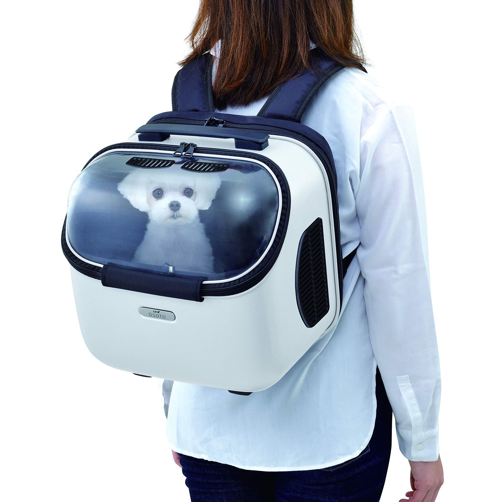 ジェックス OSOTO キャリー トラベラーJr. ストア 4WAYリュックタイプ