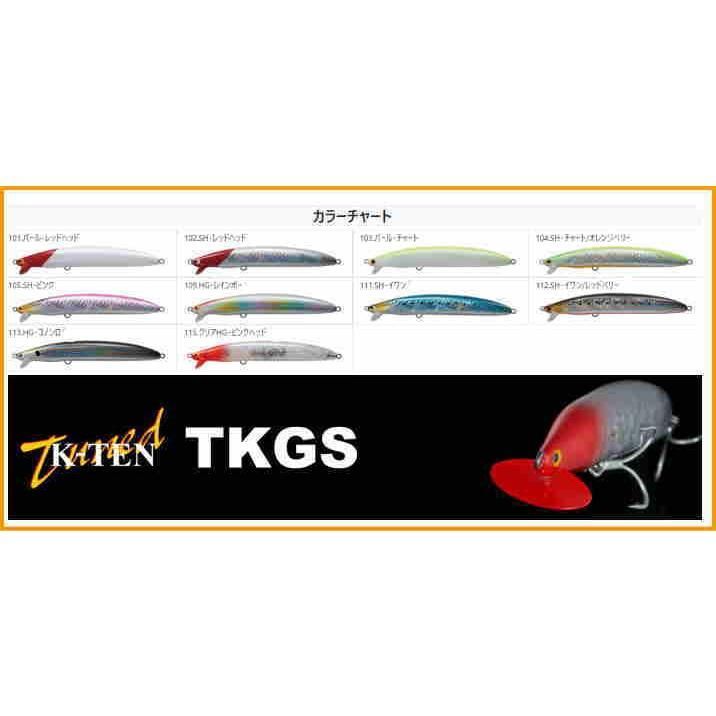 タックルハウス TKGS135 シンキング 135mm 32g Tuned K-TEN TKGS