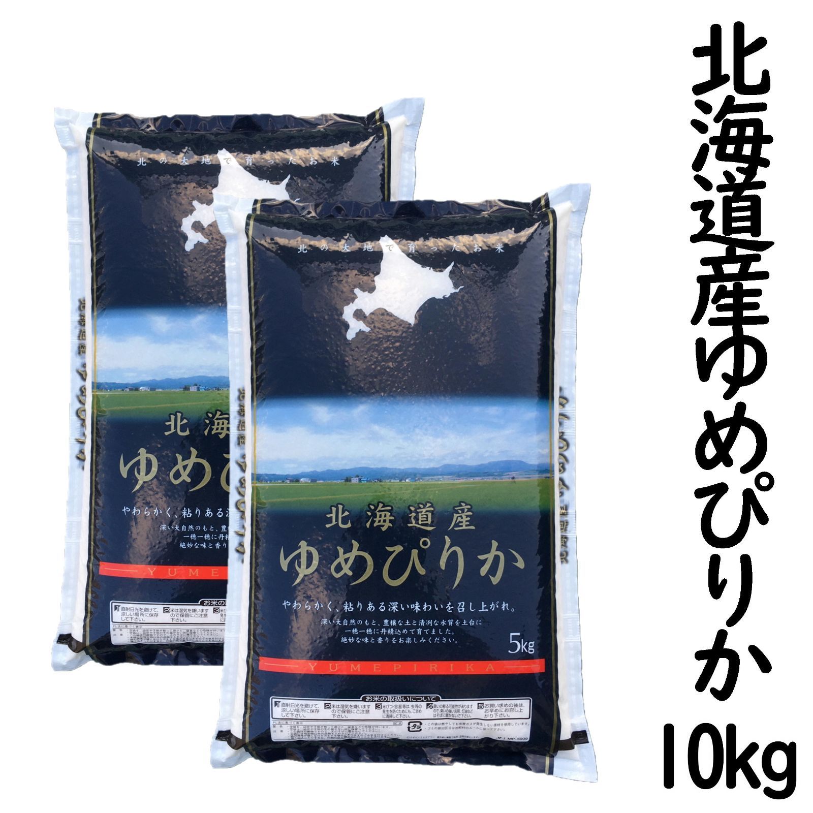 品質が完璧 中古】 不確実性をどう扱うか データの外挿と分布 [リスク評価の 自然科学と技術