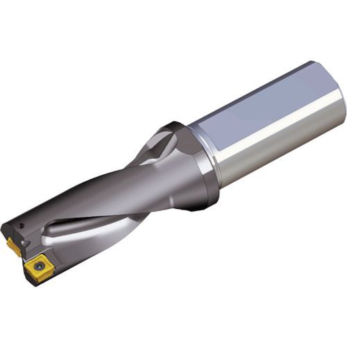 よしこー様専用 よしこ ソイネショップ よしこ様専用 ソイネショップ