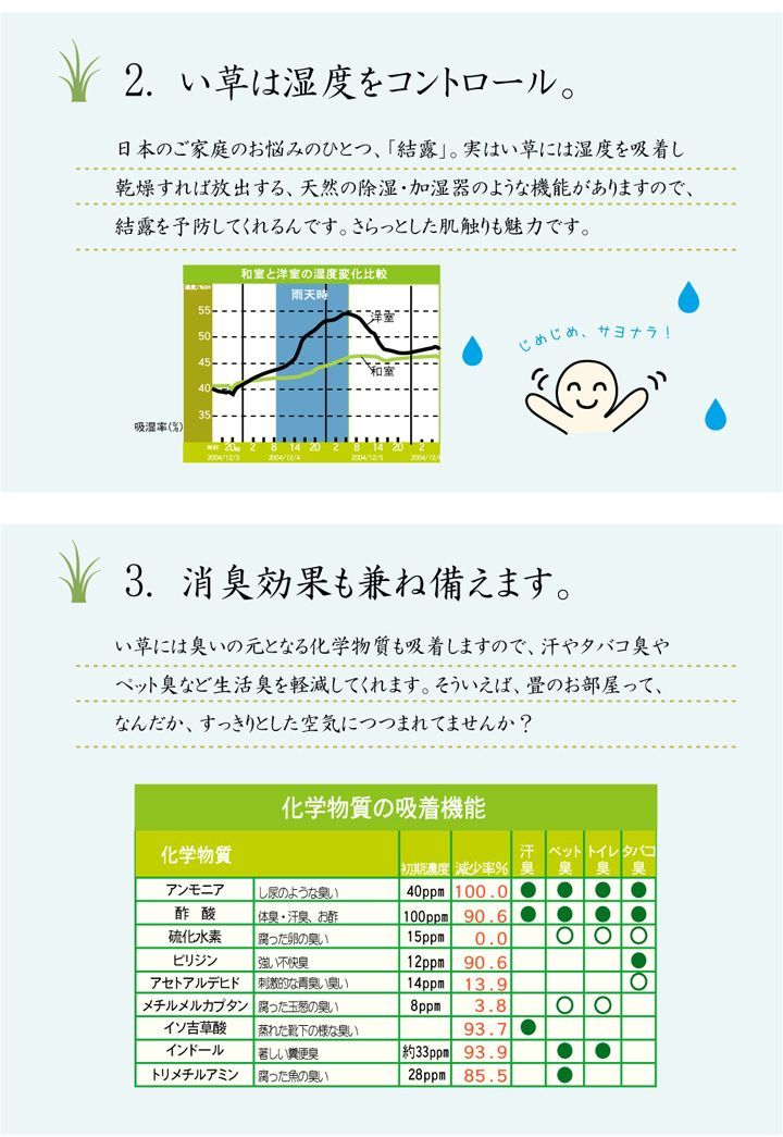 BIK1014536 日本製 国産 純国産 い草 ラグカーペット 格子柄シンプル