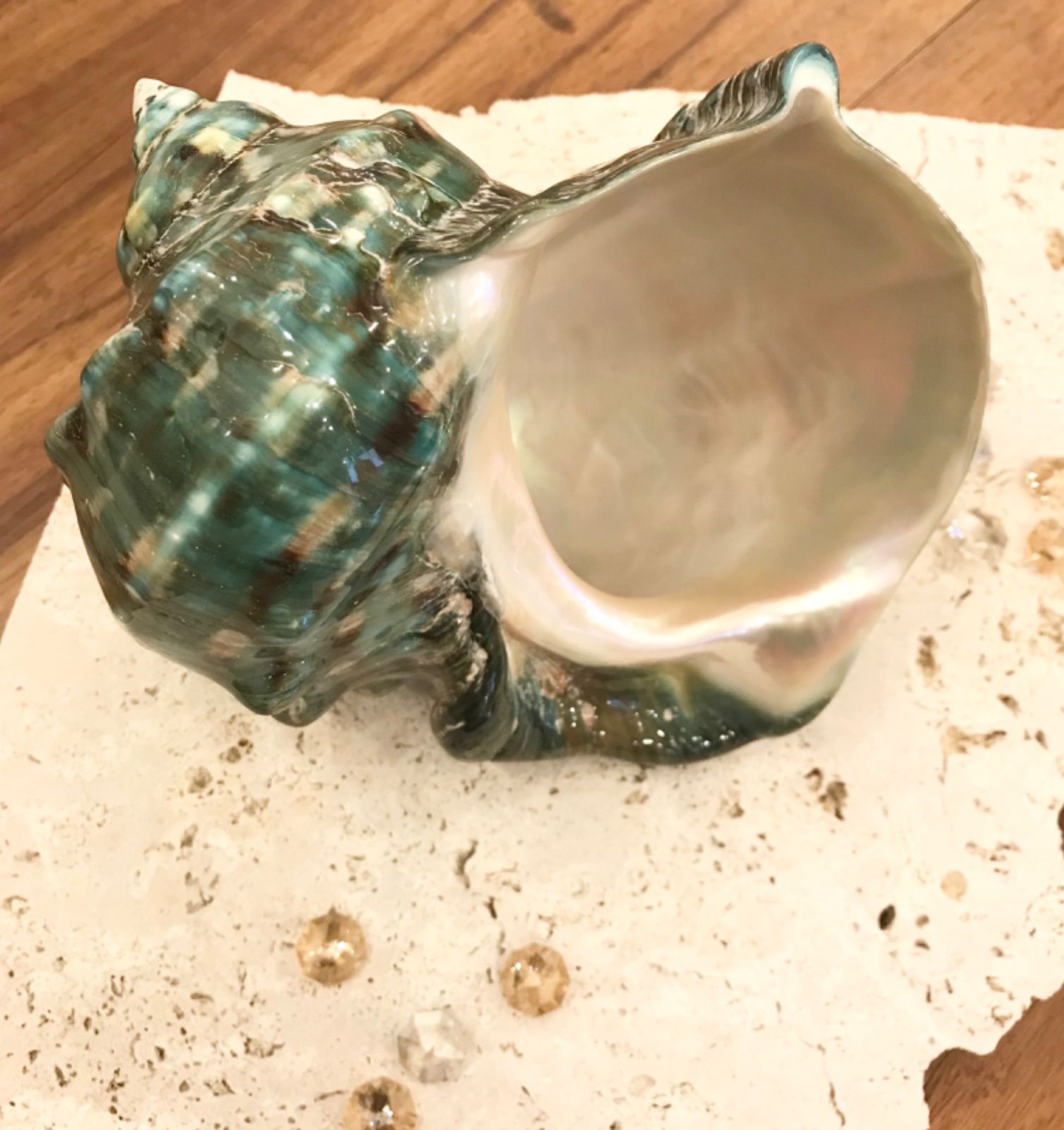 NEW ARRIVAL 夜光貝 真珠磨き インテリア 飾り物 アクセサリー 