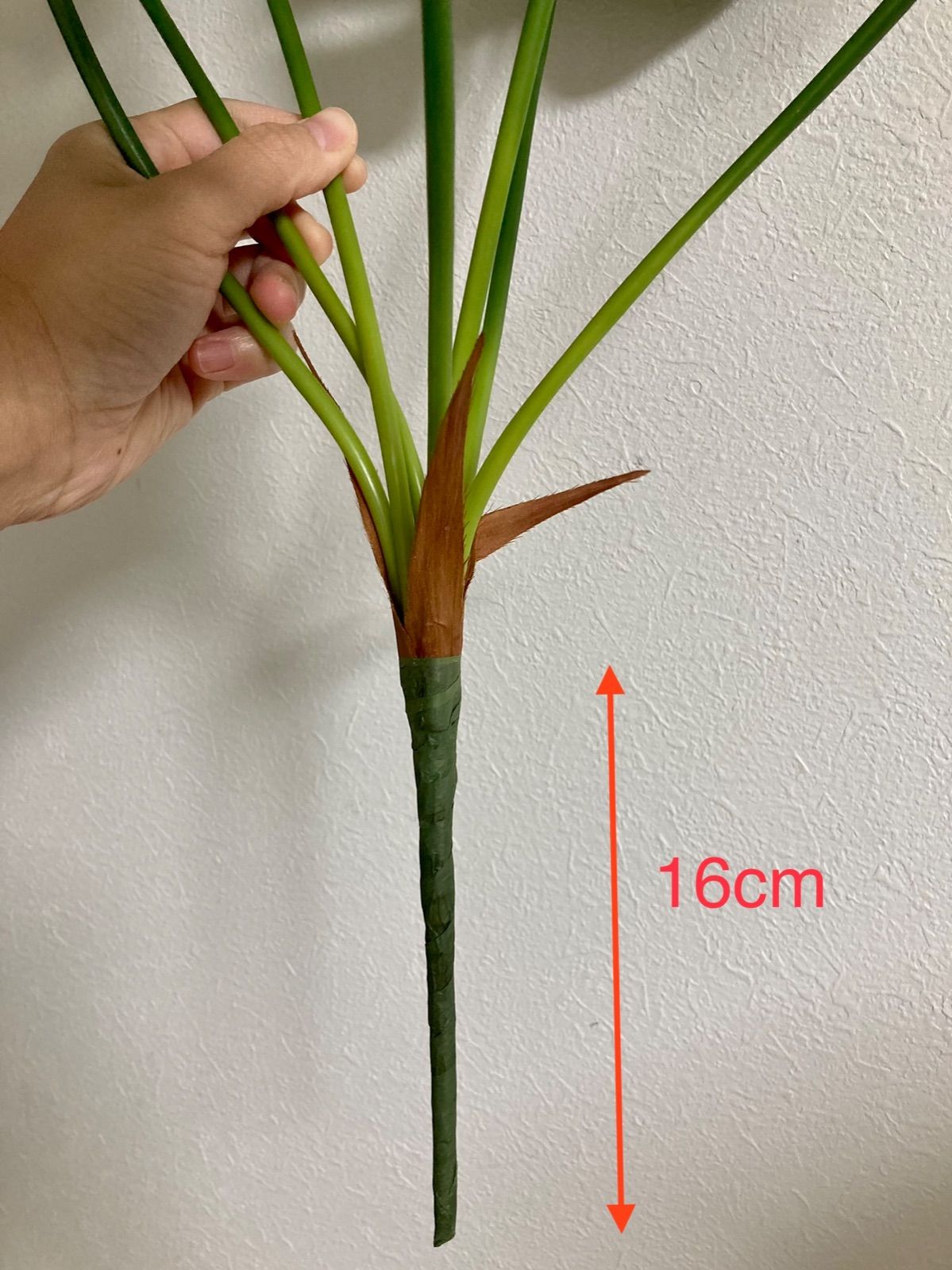 ザナドゥ フェイクグリーン 光触媒 67cm 人工観葉植物 - メルカリ