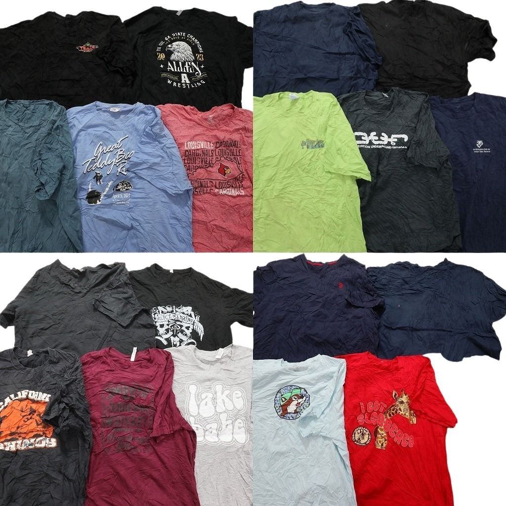 古着卸 まとめ売り カラーmix プリント 半袖Tシャツ 20枚セット (メンズ 3XL ) 企業 バッキーズ アニマル 動物 中古 古着 MY2946