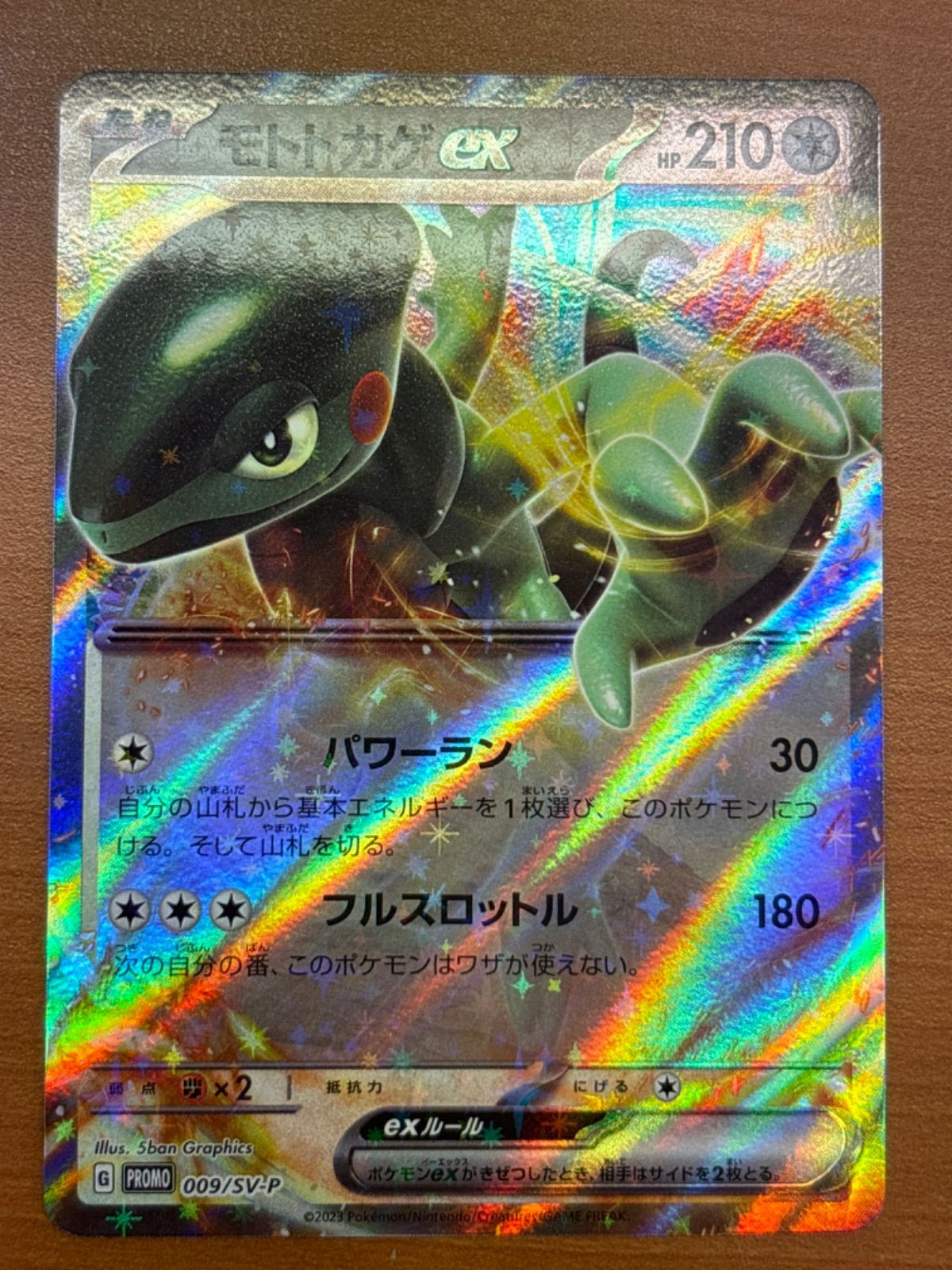 PSA10 2枚セット】モトトカゲex プロモ 009/SP-V - メルカリ