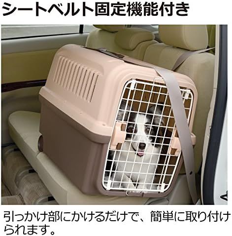 大型犬 ダークブラウン