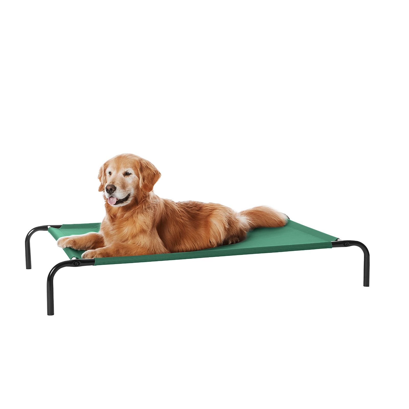 【新着商品】130 メッシュ x 脚つきコット型 79 猫 x 犬 20cm ペットベッド Lサイズ ベーシック グリーン