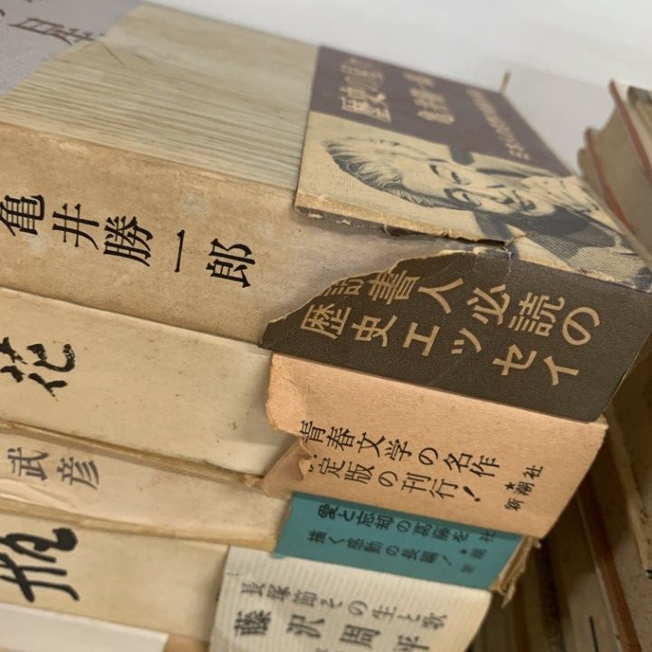■05)【同梱不可】随筆集・詩集・エッセイ・小説など日本・中国古典文学の本 まとめ売り約165冊大量セット/夏目漱石/西遊記/平家物語/B □05)【同梱不可】随筆集・詩集・エッセイ・小説など日本・中国