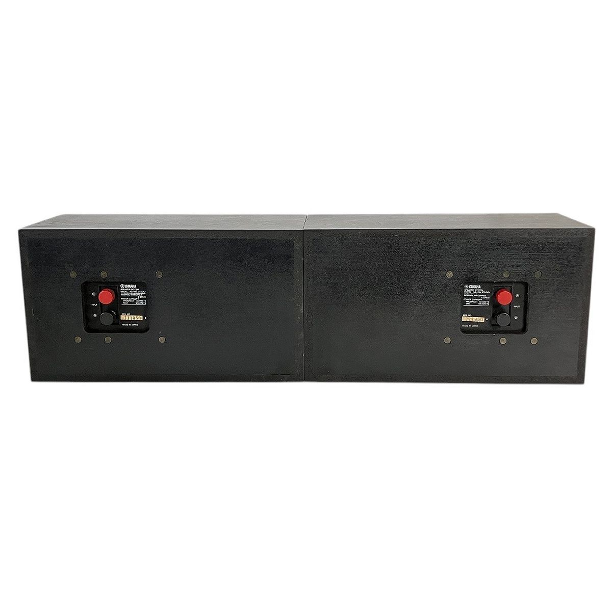 NS-10M