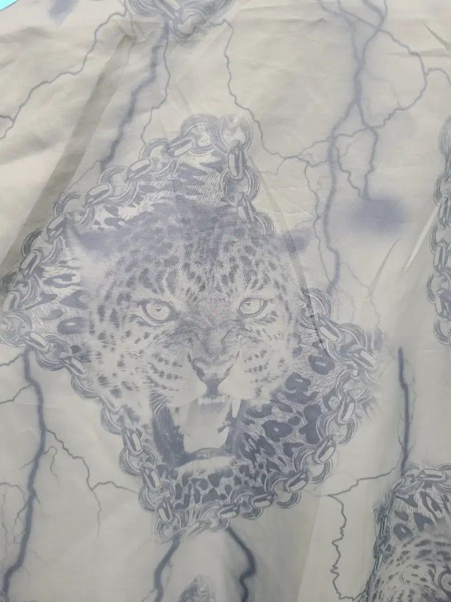 日本限定版 Dolce&Gabbana(ドルチェ＆ガッバーナ) ウインド