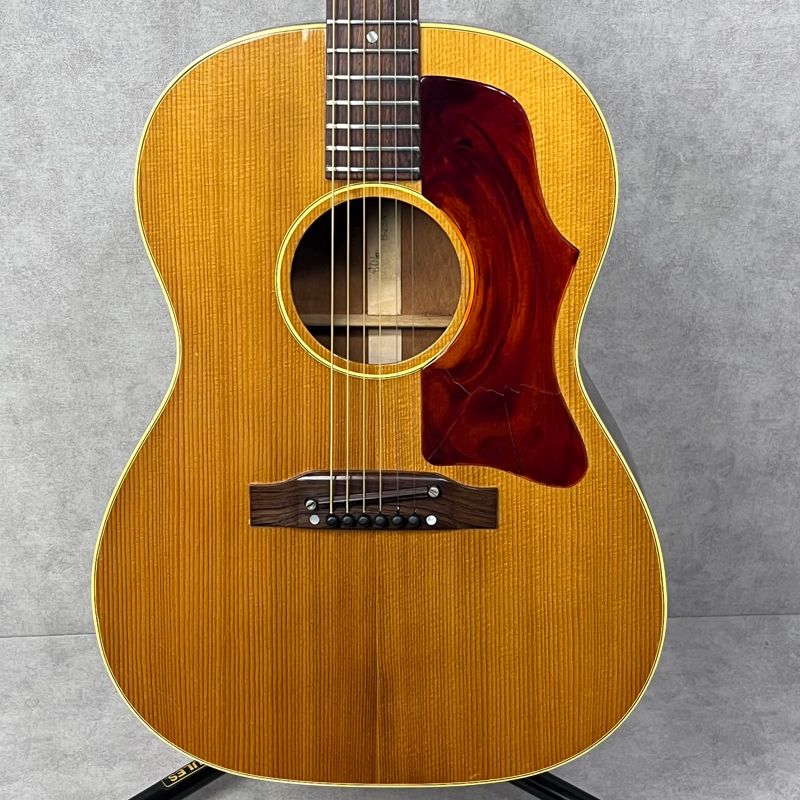Gibson