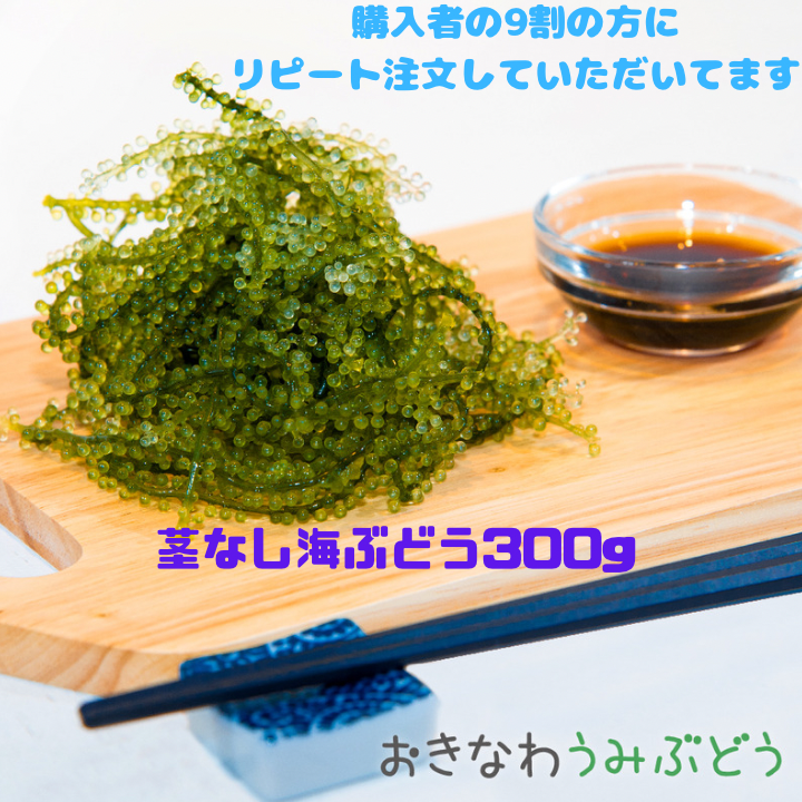 数量は多い】 鮮度抜群！やんばる産海ぶどう茎なし特A品2000g