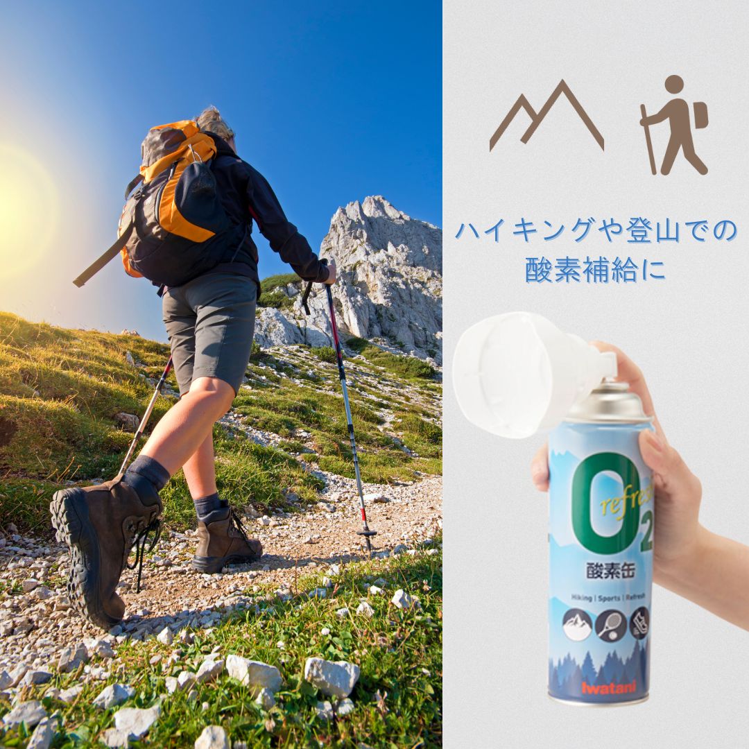 岩谷 イワタニ