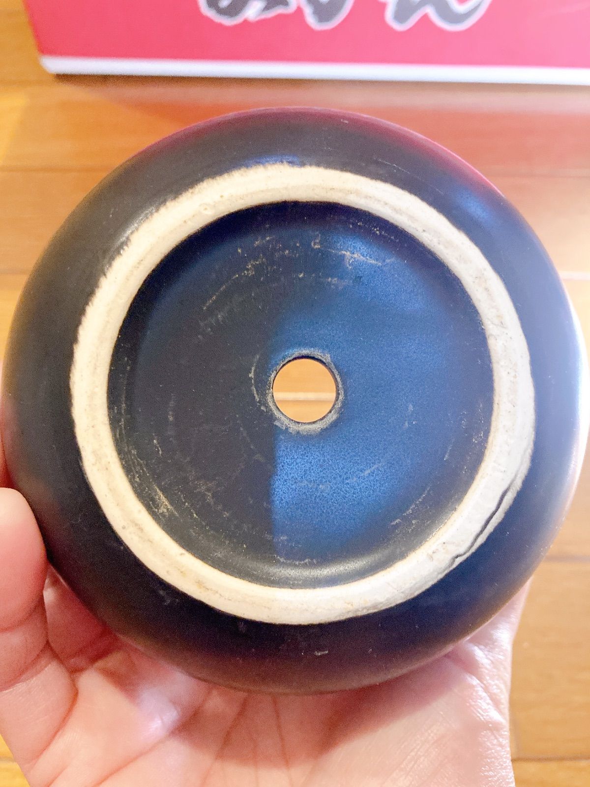 アガベ鉢 ハチ 植木鉢 インテリア 園芸 ガーデニング グラキリス 塊根