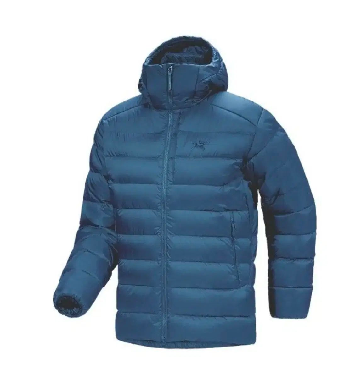 アークテリクス トーリム フーディー タス ナイトスケープ