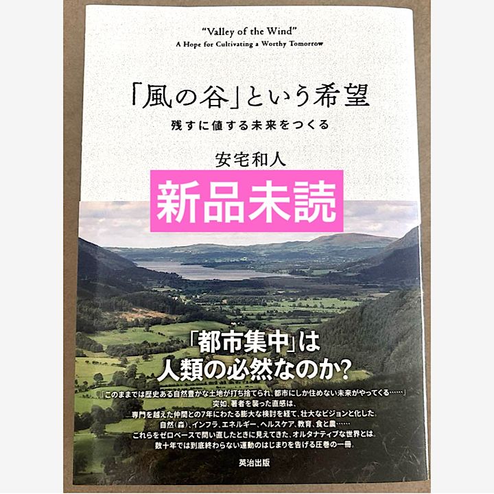 「風の谷」という希望