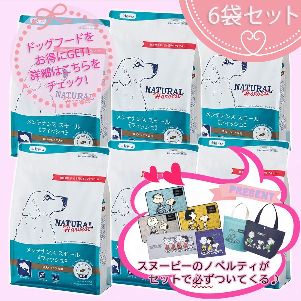 ほぼ新品】ケータイ司法書士2025 全6冊セット/ 森山和正 ケータイ司法