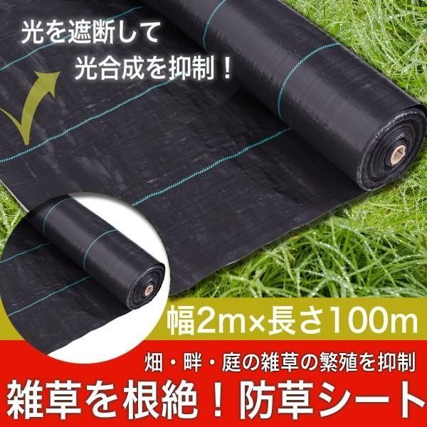 防草シート 2m × 100m 100メートル 除草 雑草 遮光 シート マット ポリエチレン 芝生 ウィードガード 防止 抑制 黒 ブラック 歩行 通路 園芸 庭 ガーデニング