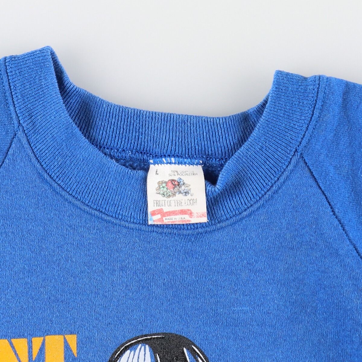 古着 80年代 フルーツオブザルーム FRUIT OF THE LOOM プリント