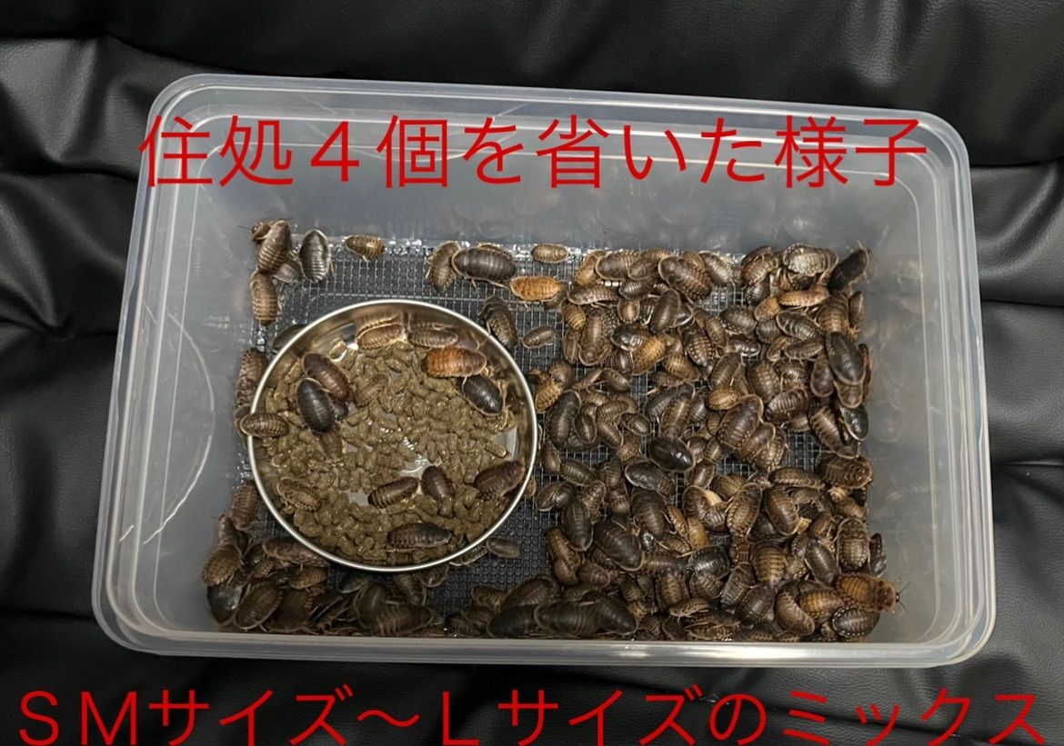 爬虫類、両生類 デュビア、コオロギ、レッドローチ 飼育ケージ