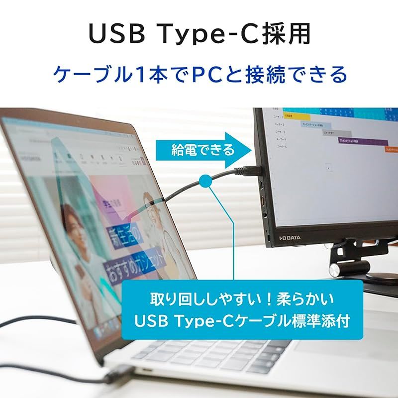 IODATA モバイルモニター 17.3インチ 持ち運び フルHD (Switch/PC対応 