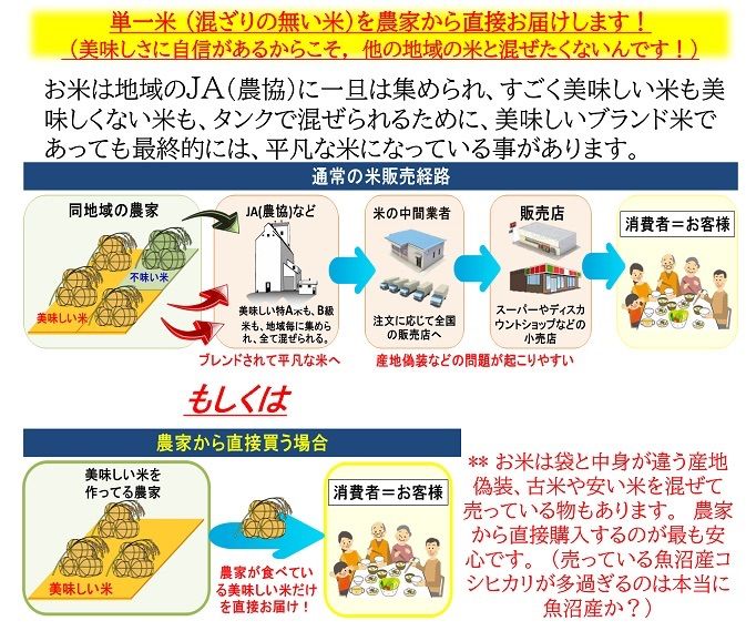 残り12袋 減農薬 新潟こしひかり玄米20kg 令和4年 新潟県三条市旧した