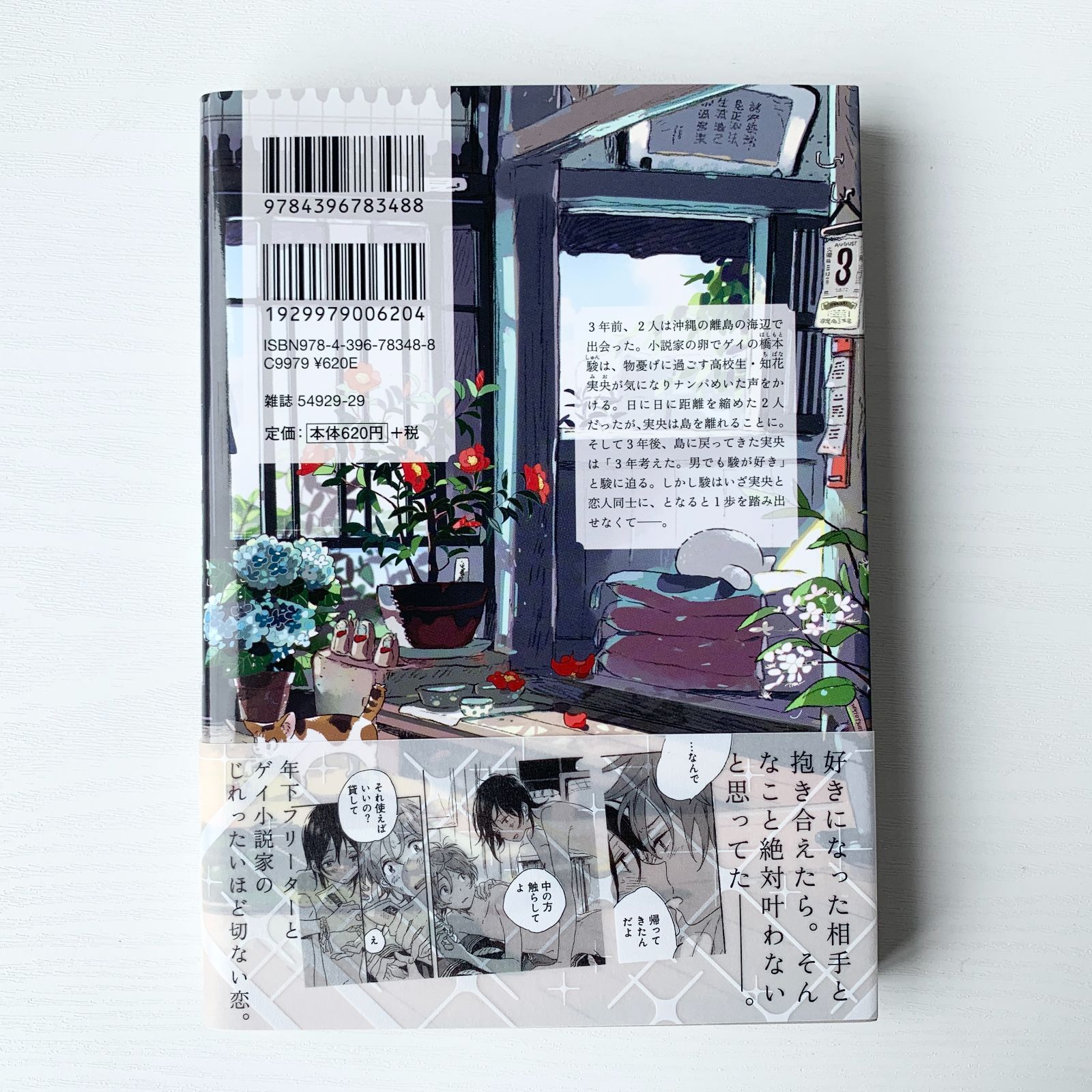 Amazon.co.jp: 雪の下のクオリア (HertZ&CRAFT) 電子書籍: 紀伊
