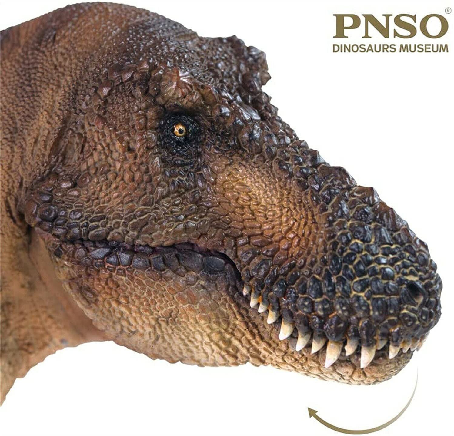 PNSO 1/35 サイズ ティラノサウルス Tレックス T-Rex アンドレア 恐竜博物館 動物 フィギュア プラモデル おもちゃ 模型 リアル  PVC 恐竜好き 誕生日 プレゼント オリジナル 塗装済 完成品 36cm級 - メルカリ